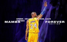 九游体育-新秀璀璨夜，杰明23分领军，弗拉格三双闪耀，小内少得分创生涯新高