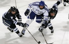 九游体育官网：奥古斯托传射引领攻势 马尔康压哨绝平 国安与华夏幸福激战成和